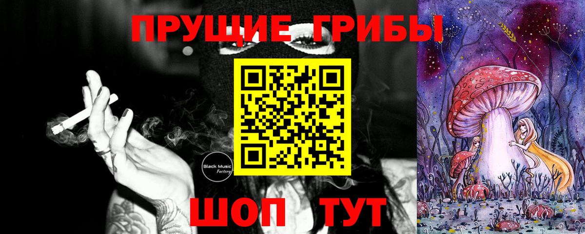 Галлюциногенные грибы Psilocybe Щёлково