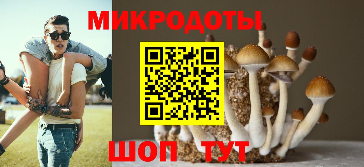 Галлюциногенные грибы мицелий  Вход с VPN  Псилоцибиновые грибы Psilocybine cubensis  Щёлково 